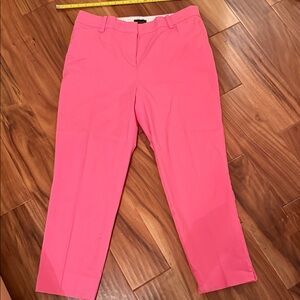 Talbots Hot Pink Pants